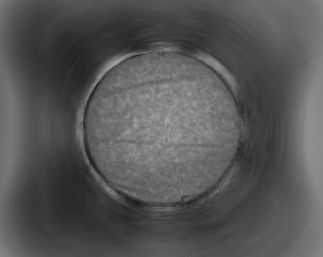 X0000086761431200705111706