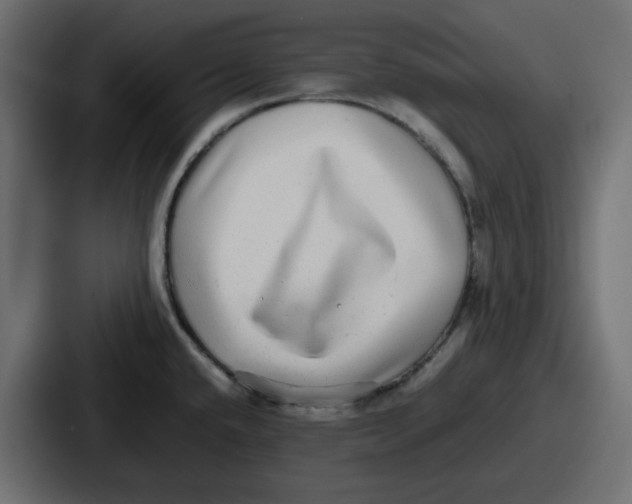 X0000086761432200705111706