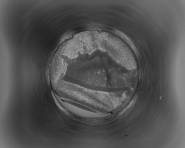 X0000086761433200705111706