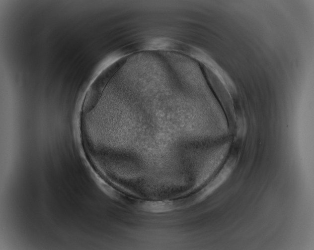 X0000086761434200705111706