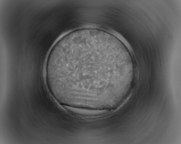 X0000086761436200705111706