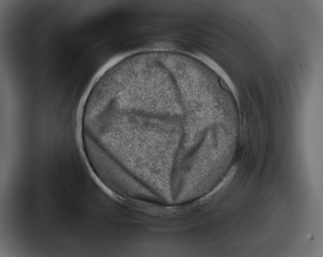 X0000086761437200705111706