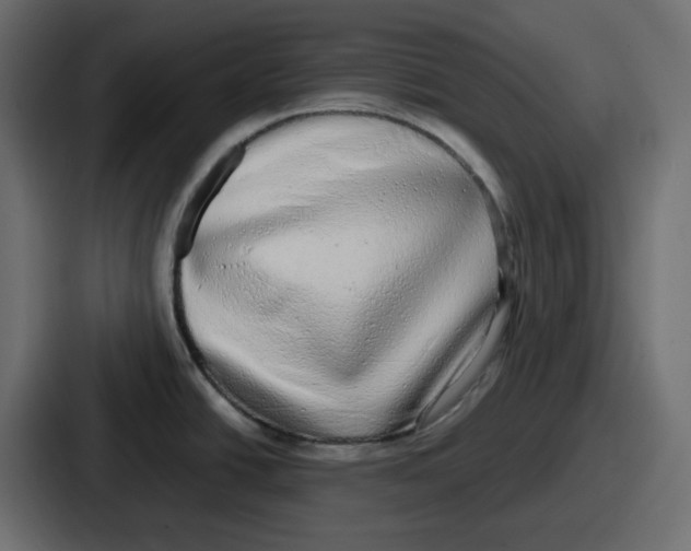 X0000086761438200705111706