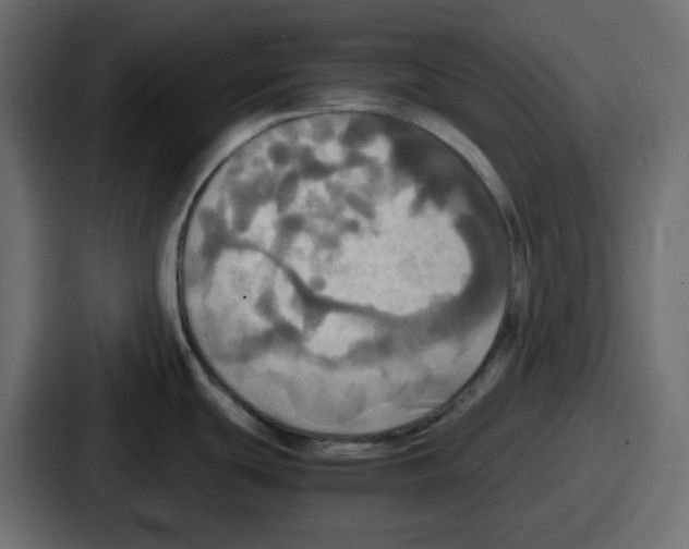 X0000086761439200705111706