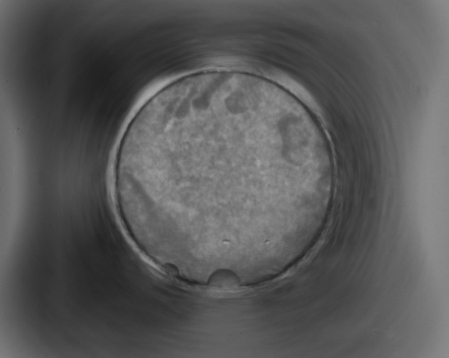 X0000086761440200705111706