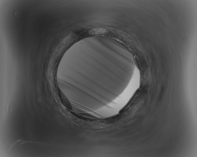 X0000086761441200705111705