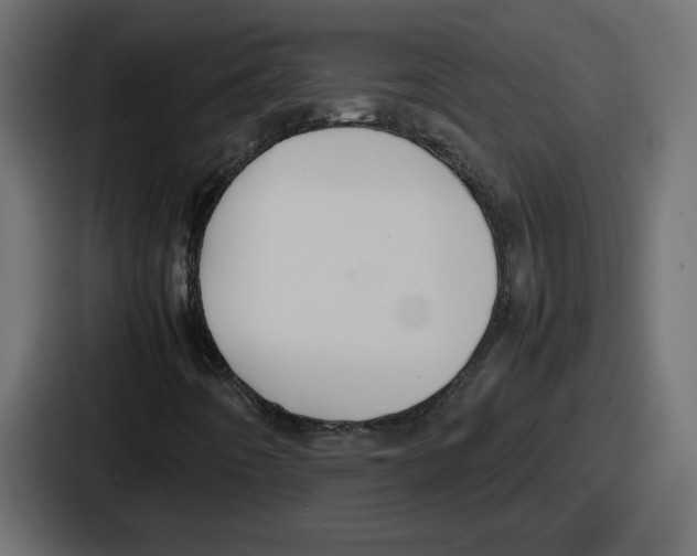 X0000086761442200705111705