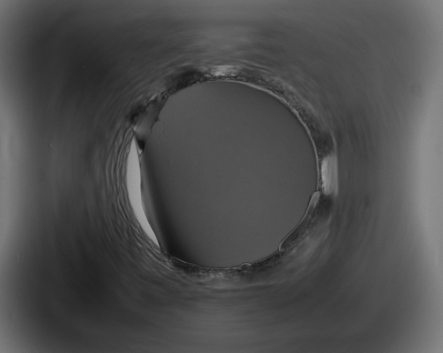 X0000086761443200705111705