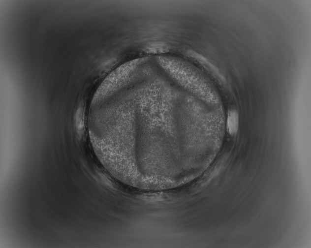 X0000086761444200705111705