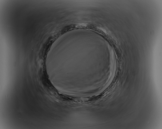 X0000086761445200705111705