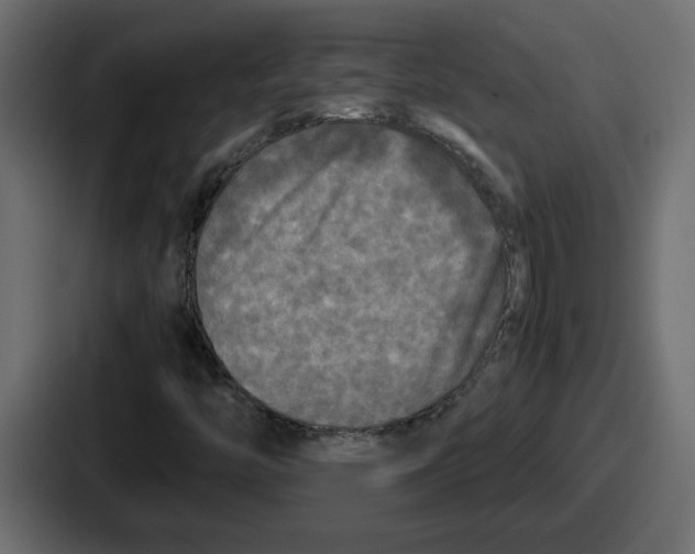 X0000086761446200705111705