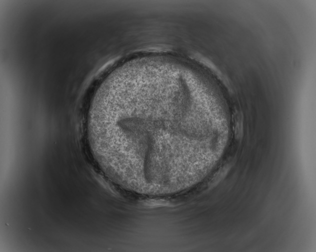 X0000086761448200705111705