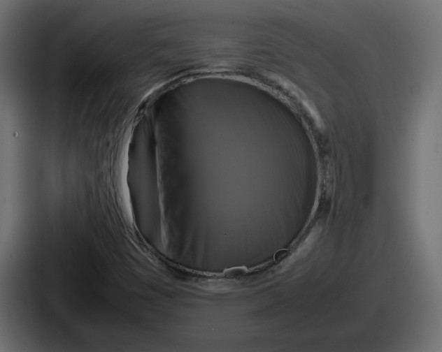 X0000086761449200705111705