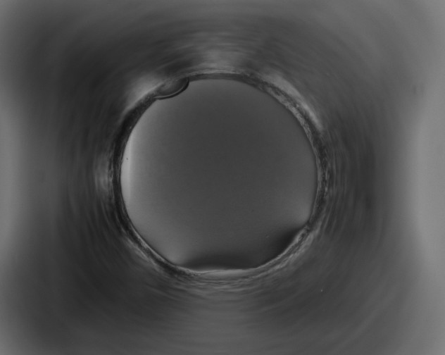 X0000086761450200705111705