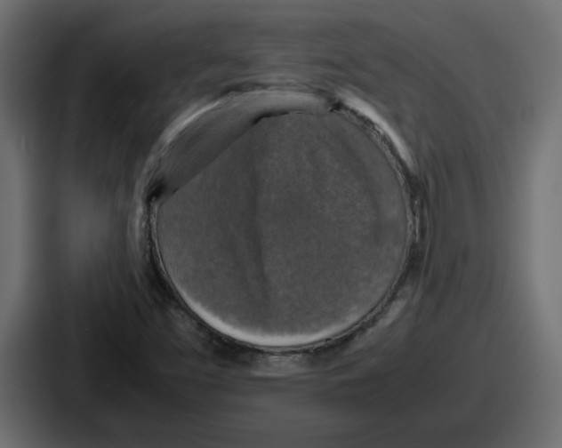 X0000086761453200705111705