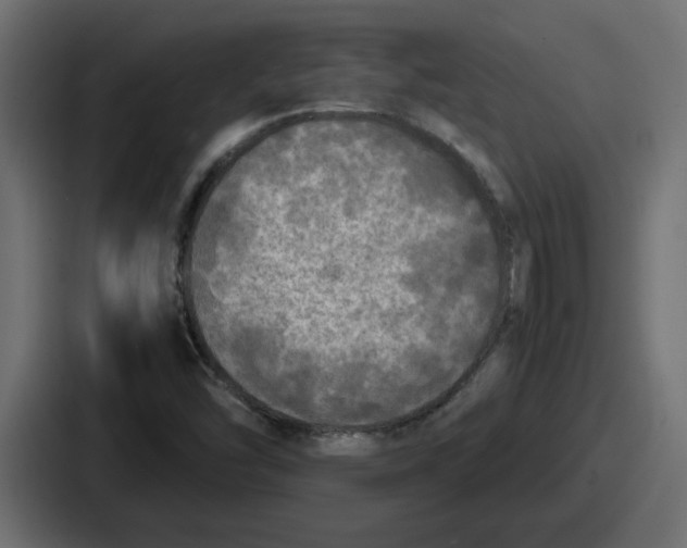 X0000086761454200705111705