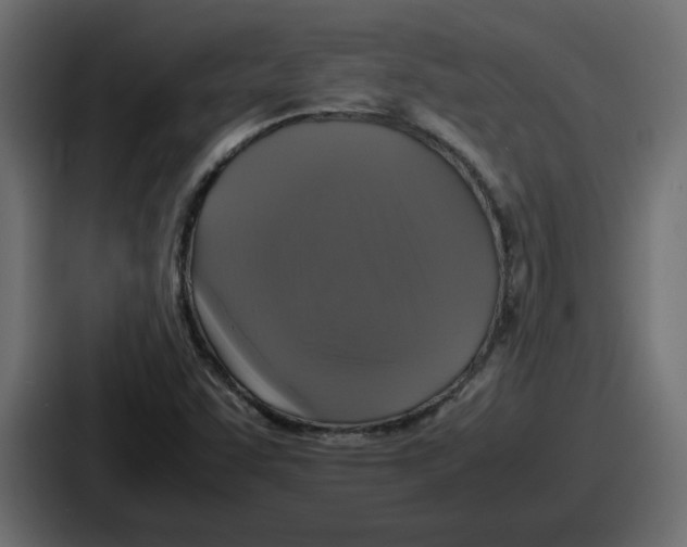 X0000086761455200705111705