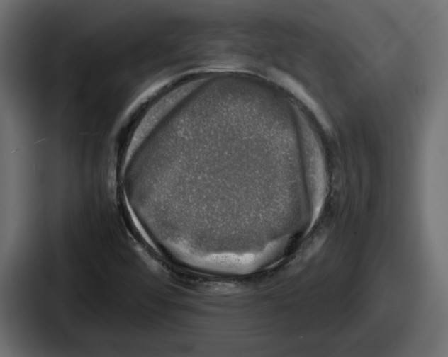 X0000086761456200705111705