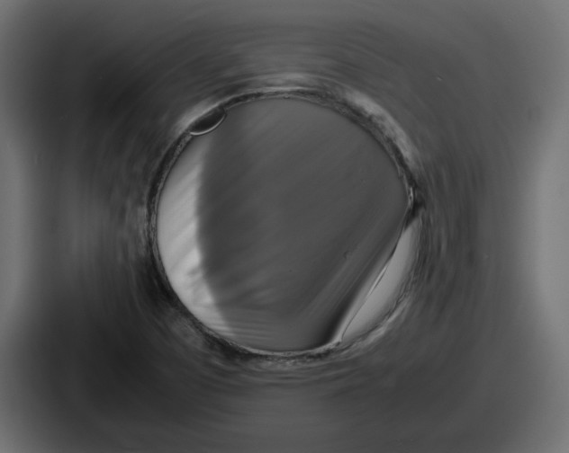 X0000086761457200705111705