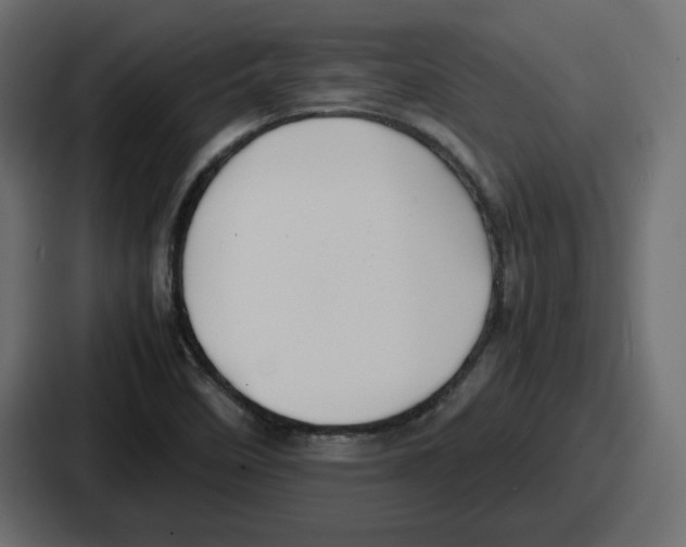 X0000086761458200705111705