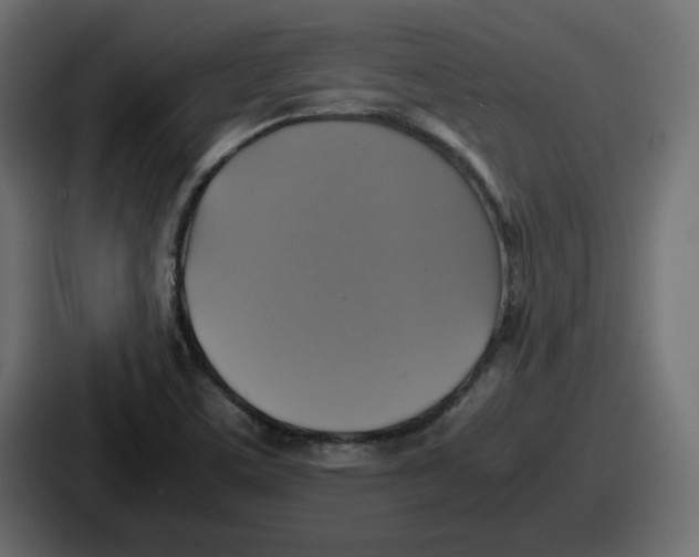 X0000086761459200705111705