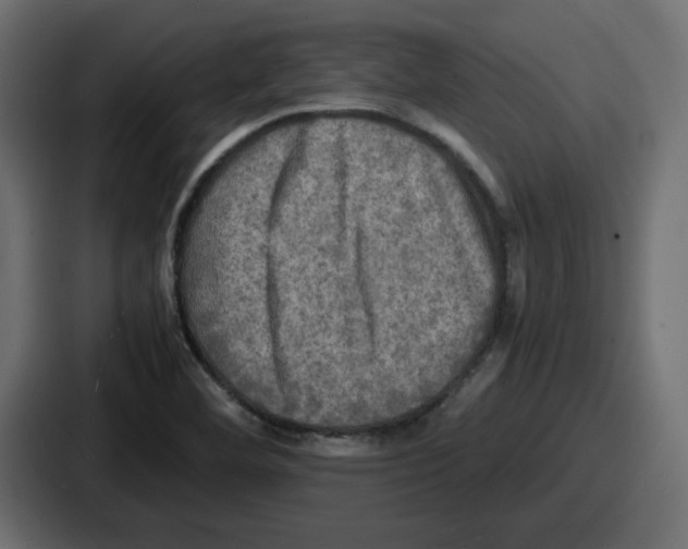 X0000086761460200705111705