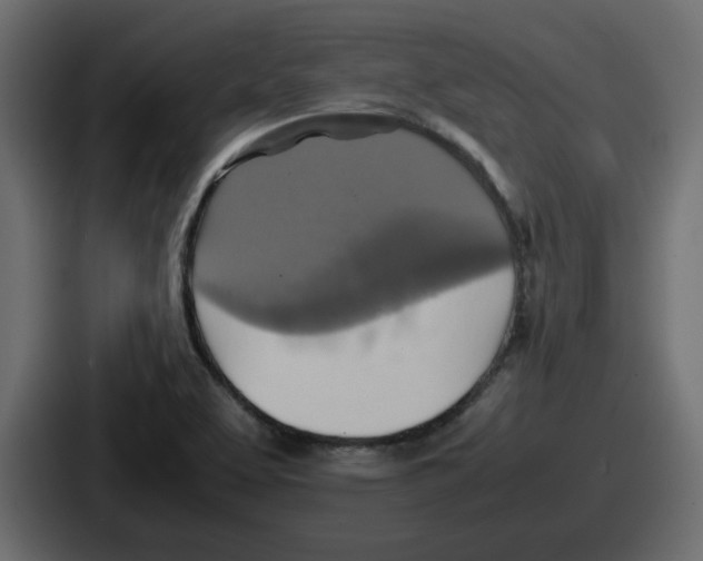 X0000086761463200705111705