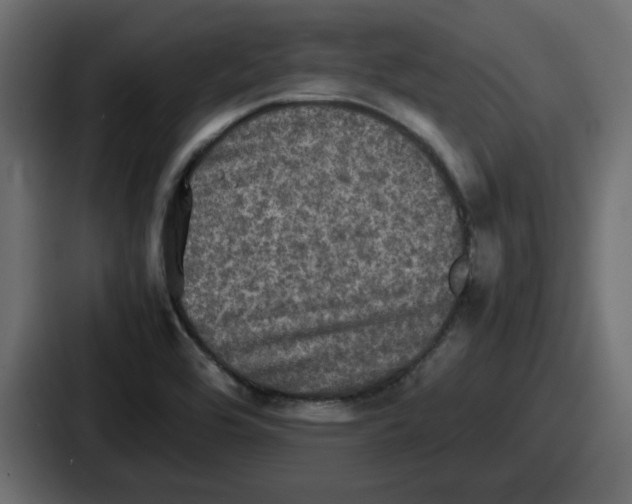 X0000086761464200705111705