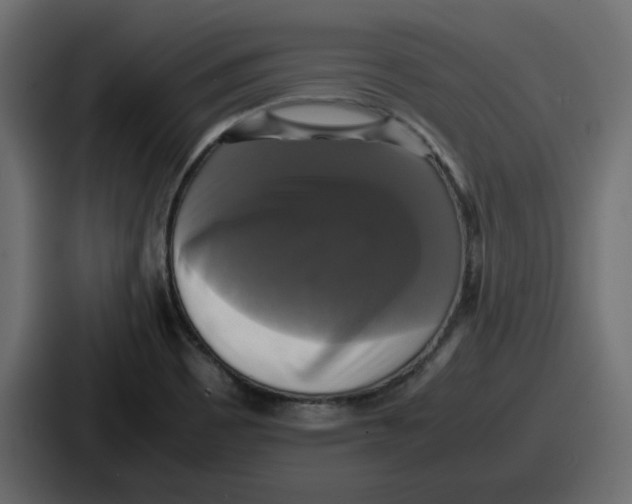 X0000086761465200705111705