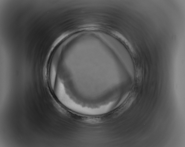 X0000086761466200705111705