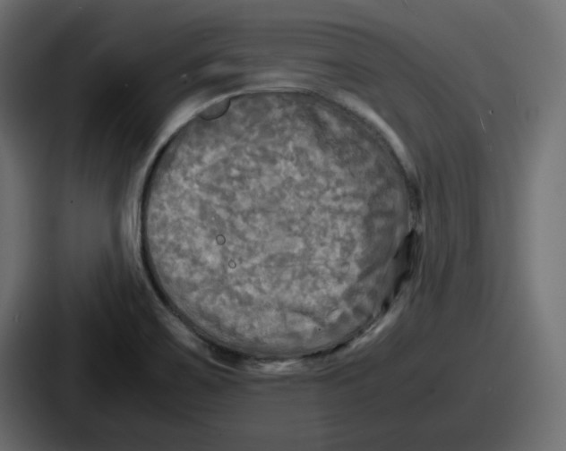 X0000086761467200705111705