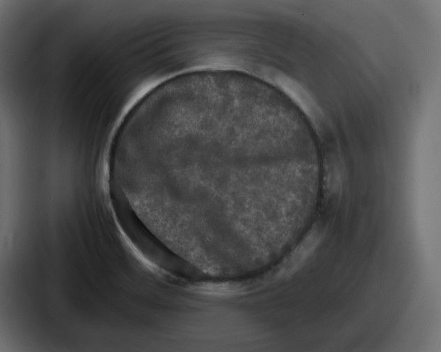 X0000086761468200705111705