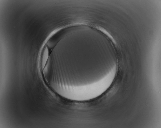 X0000086761469200705111705