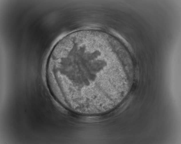 X0000086761471200705111705