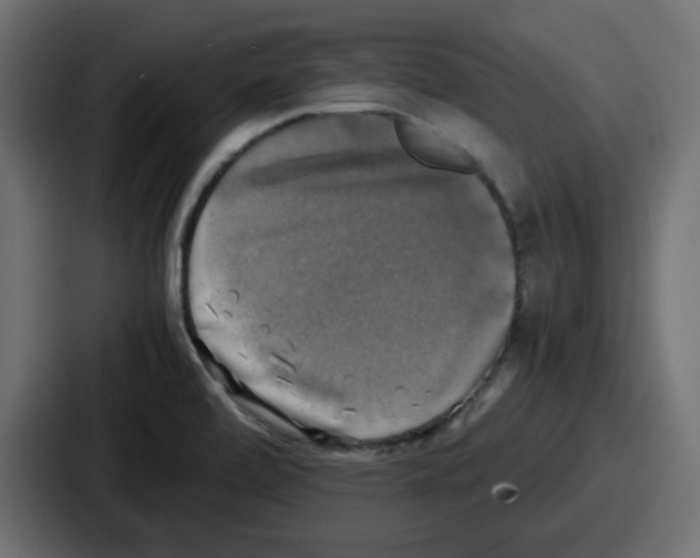 X0000086761472200705111705