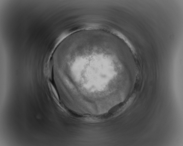 X0000086761473200705111705