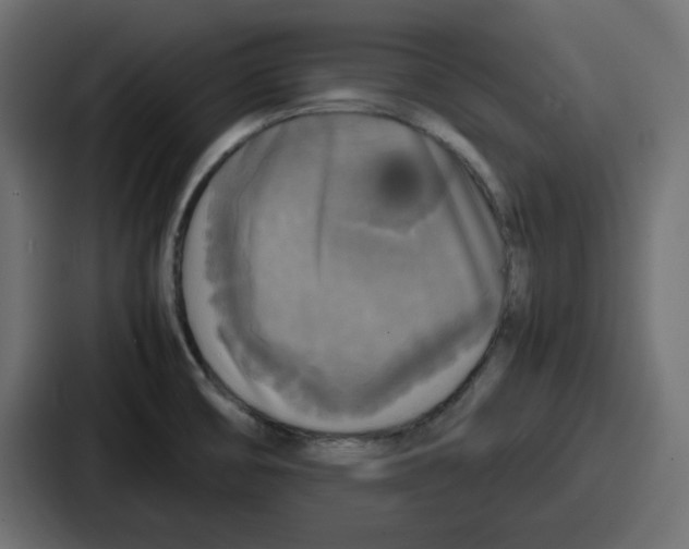 X0000086761474200705111705