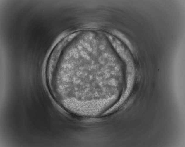 X0000086761475200705111705