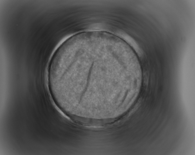 X0000086761476200705111705