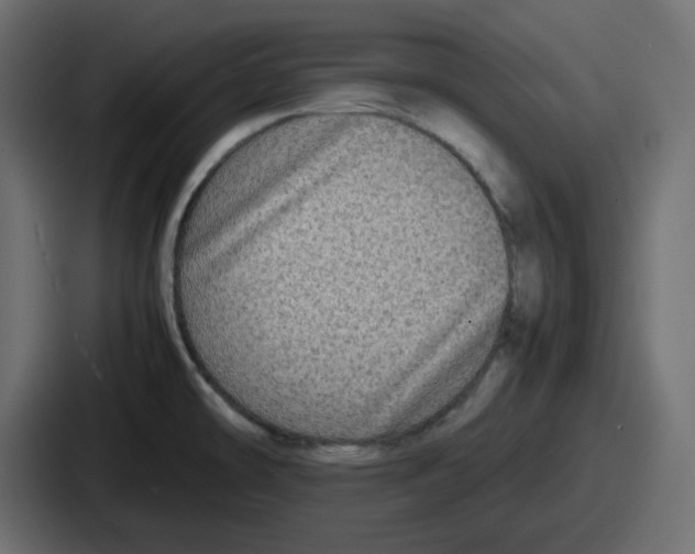 X0000086761478200705111705