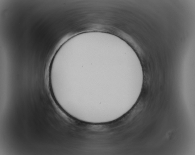 X0000086761479200705111705