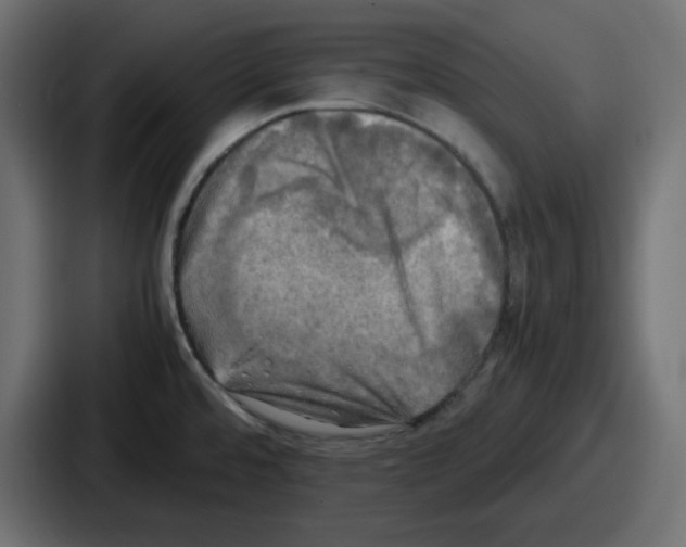 X0000086761480200705111705