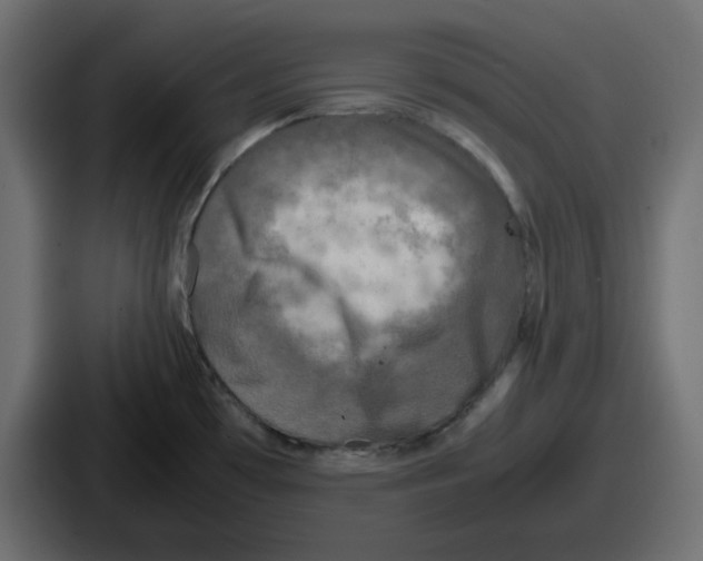 X0000086761481200705111705