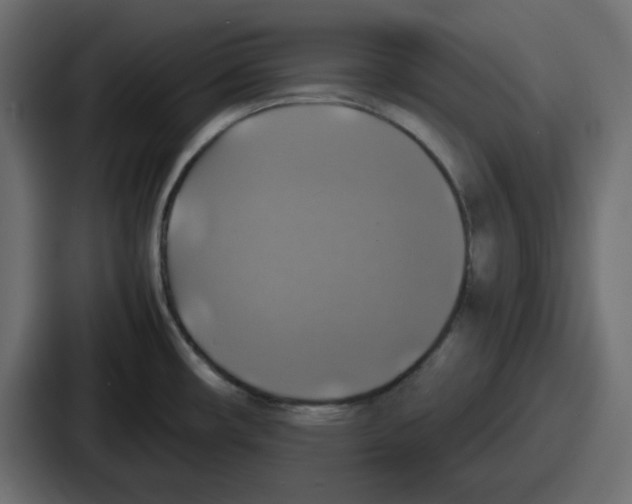 X0000086761482200705111705