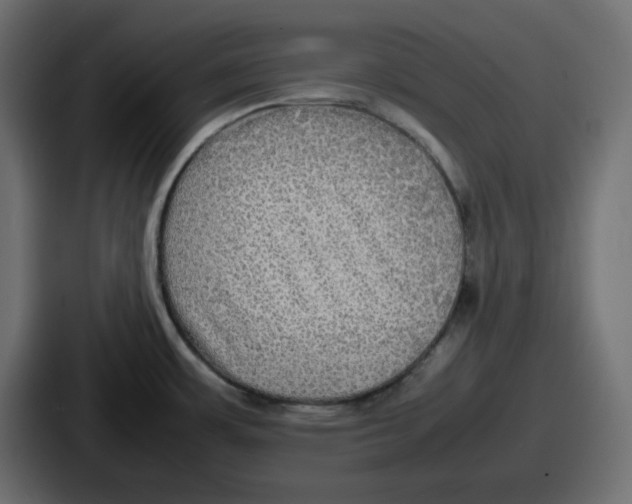 X0000086761483200705111705