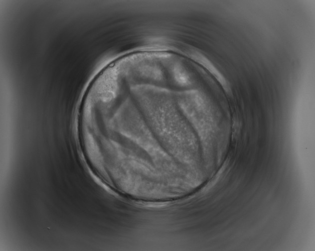 X0000086761484200705111705