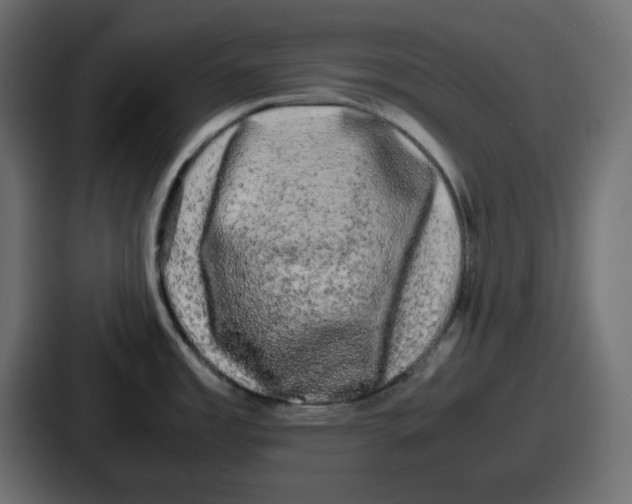 X0000086761485200705111705