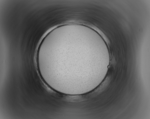 X0000086761486200705111705