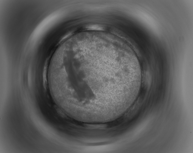 X0000086761487200705111705