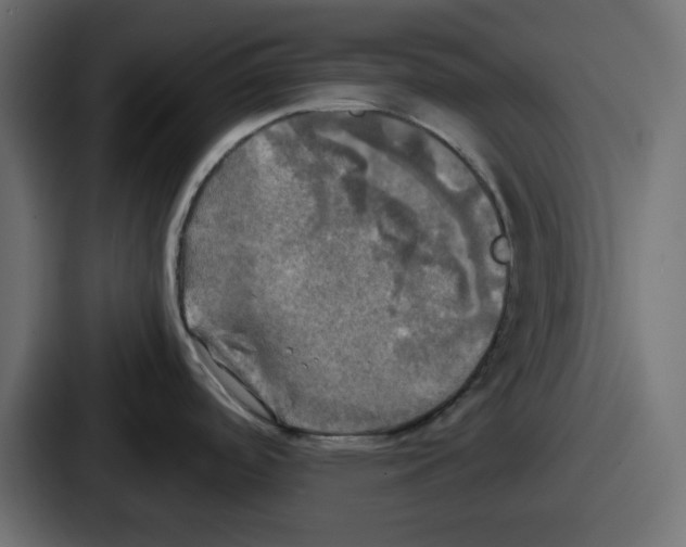 X0000086761488200705111705